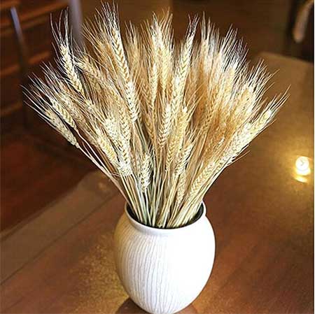 دانلود آهنگ روزگار نامرد حسین رضایی